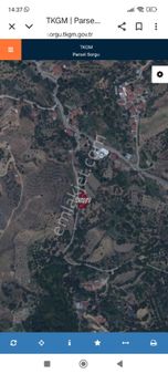 Nazilli Aşağı Yakacıkta Satılık Köy İçi Kiraz Bahçesi