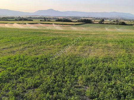 Manisa Şehzadeler Veziroğlu Tilkikoy Yoluna Cok Yakin 39 Donum Tarla 14.000.000 Tl
