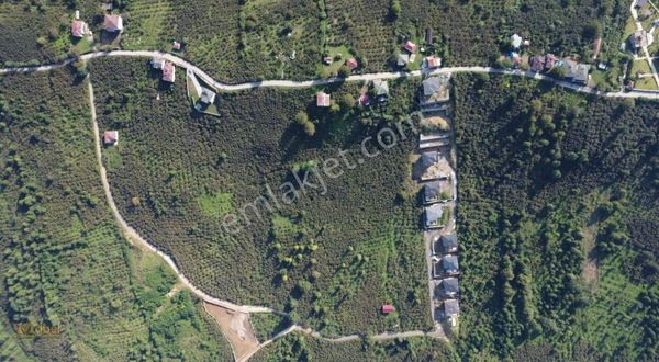 Mabel'den Bolaman Yenipazar'da Denize Nazır 3 Katlı Ev Ve Arsa