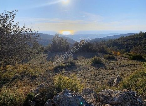 Antalya Alanya Orhan Köy Denize Kuş Bakışı Avsallar Manzaralı