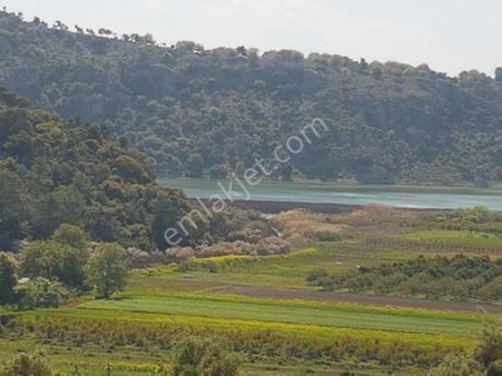 Muğla Dalaman Kapıkargın'da Göle Sıfır Hazine Arazisi – Zilliyet Devri Edilecek 