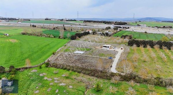 Çatalca Kaleiçi Mah. Satılık 1000m2 Yatırım Fırsatı