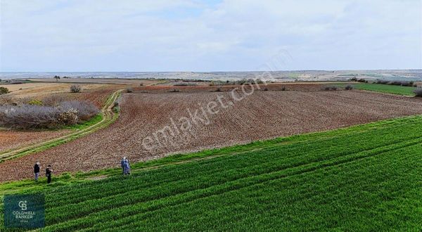 Babaeski Nacak Ta Kadastro Yola Cepheli Satılık Tarla