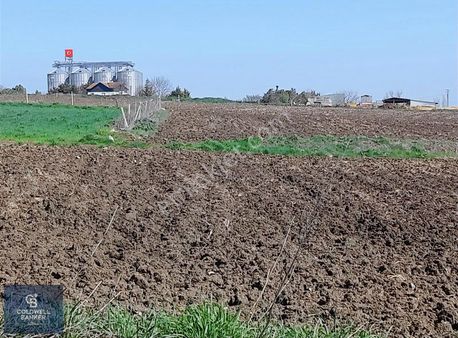 Ovayenice Köye Yakın Asfalt Cepheli Satılık Arazi