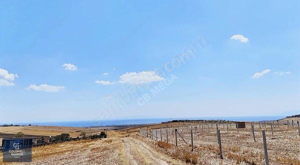 Satılık Tekirdağ Çeşmeli Mah 431 M2 Deniz Manzaralı Tarla