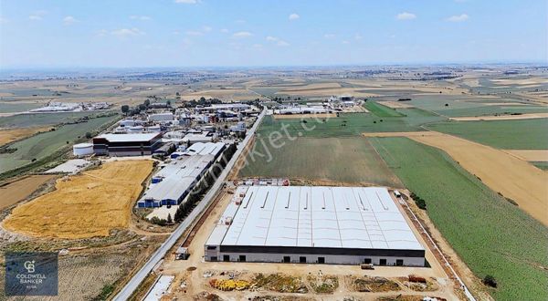 Lüleburgaz Evrensekiz'de 24.750 M² Sanayi İmarlı, Anayol Cepheli