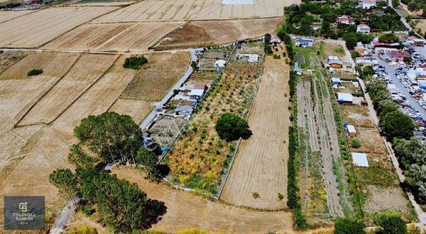 Çatalca Kestanelik Te Müstakil Tek Tapu Arazi