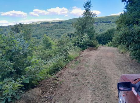 Resmı Kadastro Yoluna Cephe Bursa İnegöl Cemiyet Mahallesinde Satılık Hobi Bahçesi