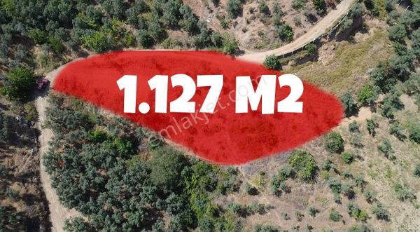 Köyün Dibinde !!bursa Orhangazi Çakırlı Köyünde Göl Manzaralı Yola Cephe Tarla