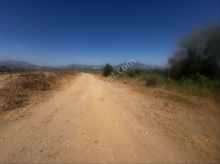 Sevindikli Mahallesinde Satılık Nar Tarlası