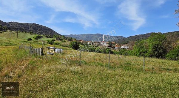 Bursa Gemlik Fındıcak Köyünde Satılık Müstakil Tapu 797m² Tarla