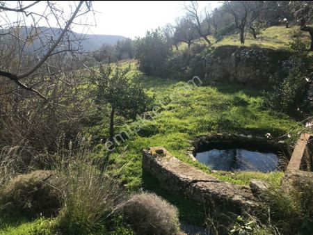 Startkey Pelit Datça Sındı'da Satılık Tarla