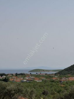 Startkey Pelit Yaka Mah. Palamutbükü'nde Deniz Manzaralı Tarla