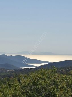 Startkey Pelit Datça Cumalı'da Deniz Manzaralı Tarla