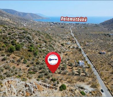 Startkey Pelit Datça Yaka Mah. Palamutbükü'nde Yatırımlık Tarla
