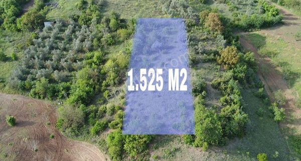 Bursa Yenişehir Yıldırım Köyünde Manzaralı 1.525m2 Hobi Bahçesi