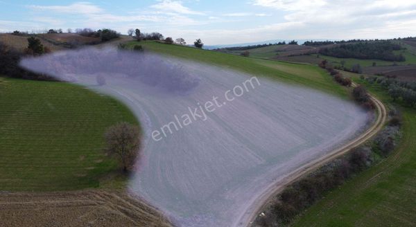 Köyün Dibinde Bu Fıyata Başka Yok!!!bursa Yenişehir Kızılköy'de Köye Yakın Manzaralı 6.627 M2 Tarla