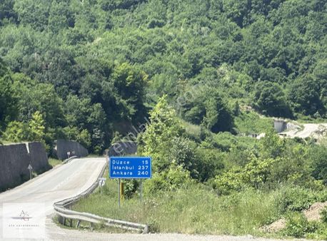 Ata Gayrimenkul Düzce Yığılca Yol Üzeri 3731m2 Ve 1330m2 Satılık