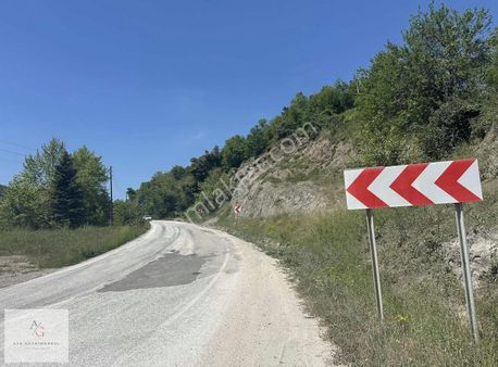 Ata Gayrimenkul | Yığılca Güney Mah.4147 M2 Satılık Tarla