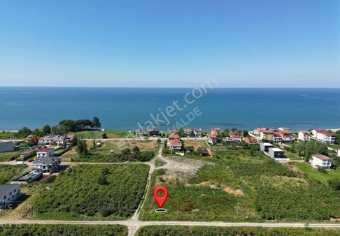 Ordu Gülyalı Turnasuyu'nda Denize Yakın 1070 M² Villa Arsası!