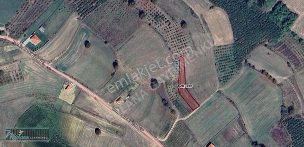 Kandıra Sarıcaali De Satılık 1.190 M2 Uygun Fiyata Arazi