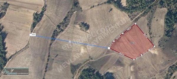 Bilecik Gölpazarı Demirhanlar Da Uygun Fiyata Satılık Arazi