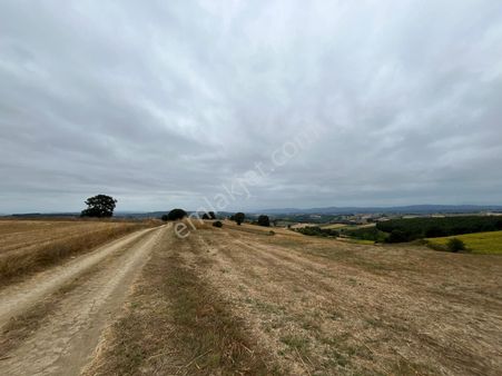 Çavuşoğlu Köyü Yakını Yollu 3.808 M² Satılık Tarla
