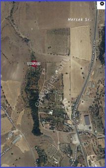 Alihan G.m.den Gümüşbağlar Mürüdü- Küçük Parsel- Satılık Tarla