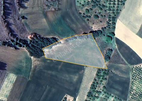 Taraklı Yakuplu'da 6.590m² 2 Parsel Acil Satılık İhtiyaçtan