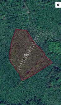 Öceli Mah Satılık 11.700 M2 Bahçe