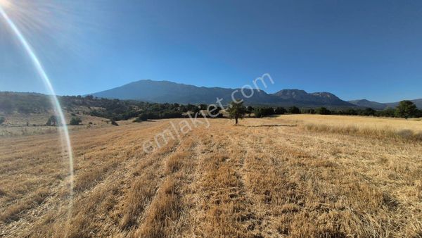 Antalya Elmalı Ahatlı'da Satılık 8200 M2 Yatırımlık Tarla