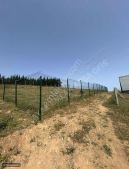 Çatalca Kestanelik Acil Satılık Villaların İçinde Arsa