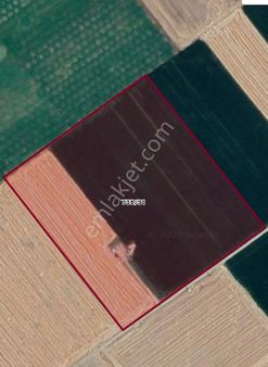 Sezenler Emlaktan Kazımkarabekir Emsalhayat Mahallesi'nde Satılık Tarla