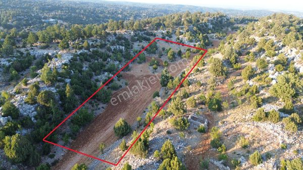 Silifke Kızılgeçit Mahallesinde 20 Dönüm Tarla...