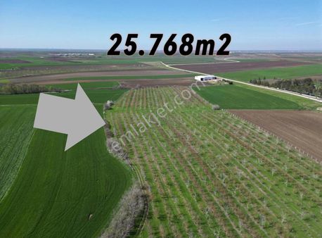 -denge- Ergene Paşaköyde 25.768 M2 İmarlı Arsa Ve Meyve Bahçesi
