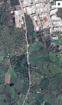 Irmaksudan Zeytinli De Ana Yola Yakın 8.500 M² Tarla