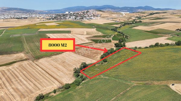 Çalışkanlar Group Gyo'dan Kayacıkta Satılık 8 Dönüm Fırsat Tarla