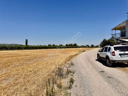 Muradiye De 3.650 M2 Tarla , Köşe Parsel , Yola 125 Mt Cepheli