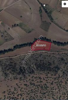 Ergon Emlak'tan Takmak' Ta Satılık 2 Adet Yatırımlık Tarla