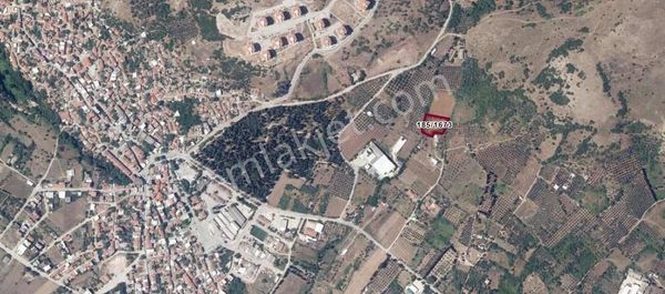 Çalışkanlar Group Gyo'dan Edincik'te Satılık 2561 M2 Bağ