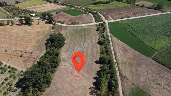 Köyün Dibinde Bu Fıyata Başka Yok!!!bursa M.k.paşa Demireli Asfalta Yakın Hobi Bahçesi