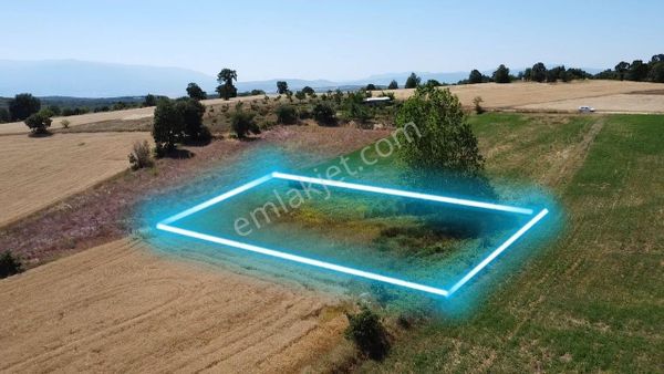 Köyün Dibinde Bu Fıyata Başka Yok!!!bursa İnegöl Tekkeköy'de Ulaşımı Kolay Asfalta Yakın Hobi Bahçes