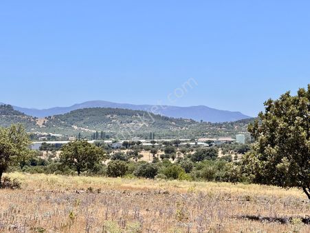Manisa Yaylaköy De 6.300 M2 Tarla , Köye Yakın