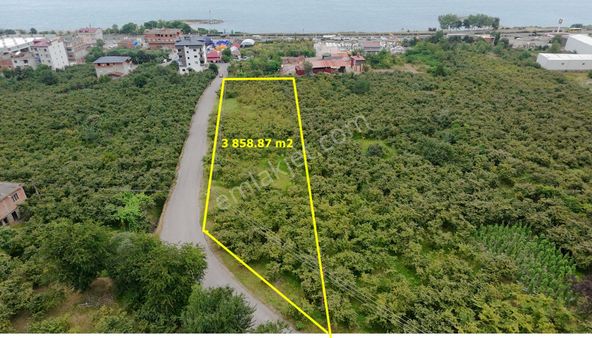 Arsin Güzelyalı Da Satılık Arsa