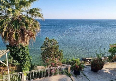 Selimpaşa Araptepe Deniz Manzaralı Giriş Kat Daire