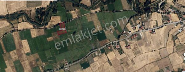 Uzman Emlektan Seydişehir Bostandere Mah. Satılık Tarla