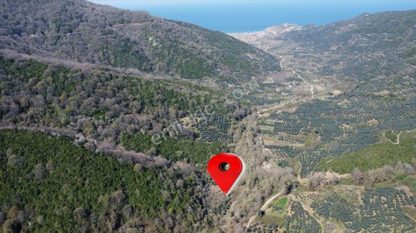 Balıkesir Erdek Ballıpınar'da Denize Yakın Bahçe