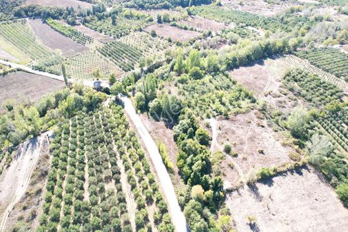 ‼️ Çanakkale Bayramiç Tongurlu Köyünde Yola Cephe Satılık Tarla ‼️‼️
