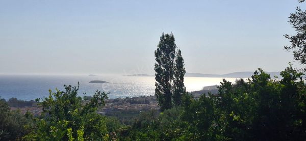 Satılık Deniz Gören Tarla