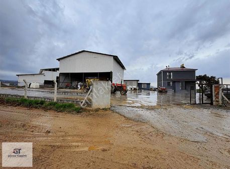 Hazır Kurulu Sıfır Büyük Baş Çiftlik